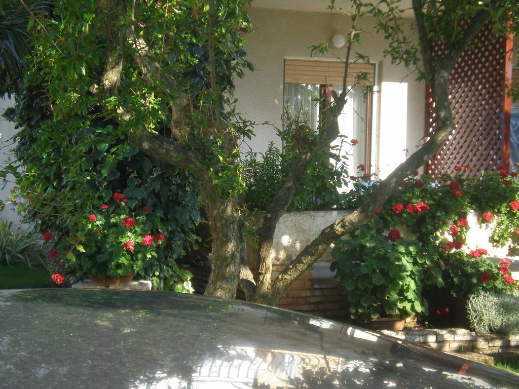 Apartment Ms Pula Luaran gambar